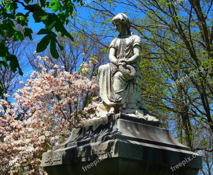 Cemetery Graveyard Magnolia Tree Gravestone Tombstone