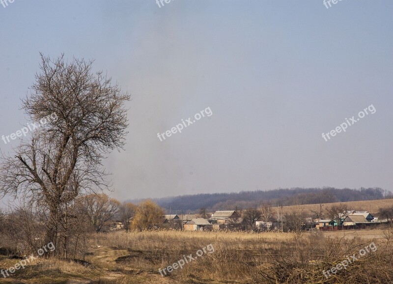 Landscape Spring March Trees Nature