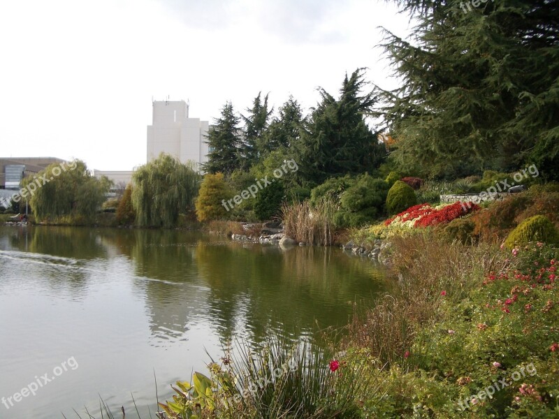 Sky Tree Lake Nature Park