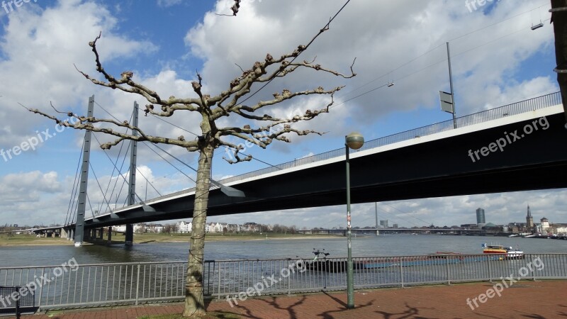 Düsseldorf Rhine Bridge River Blue River Landscape Bridge