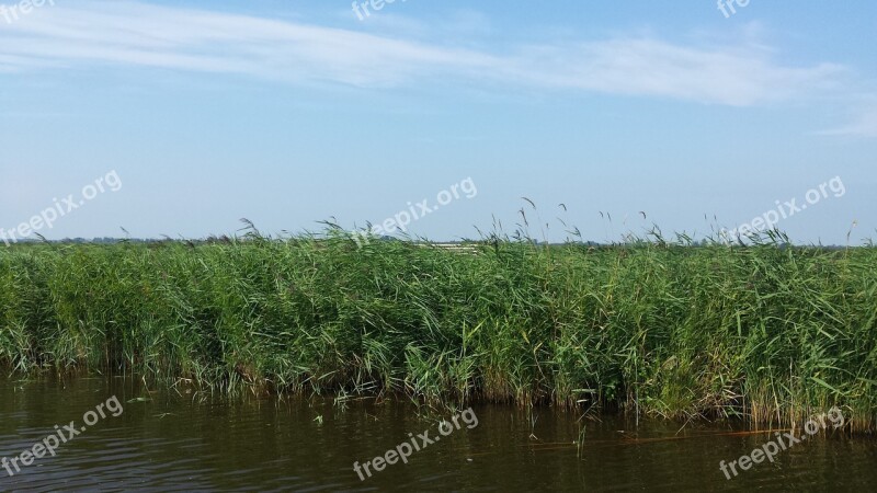 Polder Nature Noord-holland Free Photos