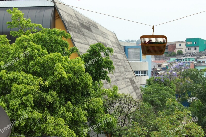 Neighborhood Green Green And Building Roofs City