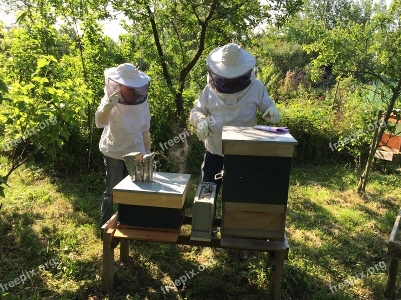 Beekeepers Bees Hive Beekeeping Free Photos