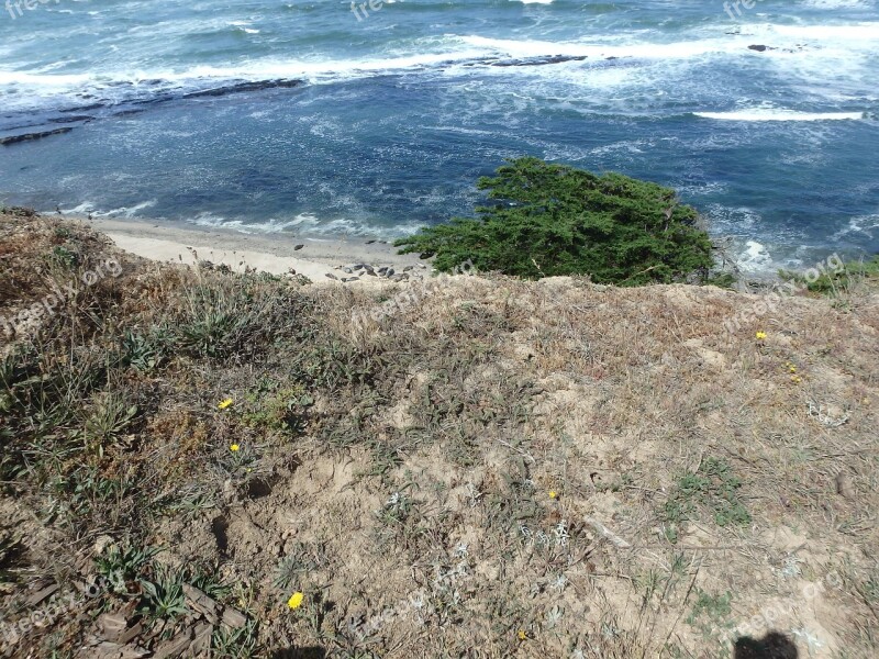 Rocky California Coast Ocean Nature