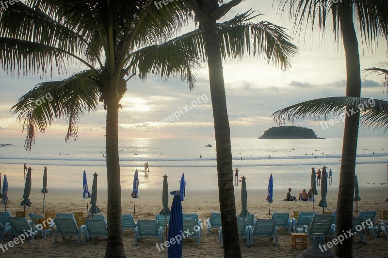 Tropical Beach Palm Trees Ocean Seashore People