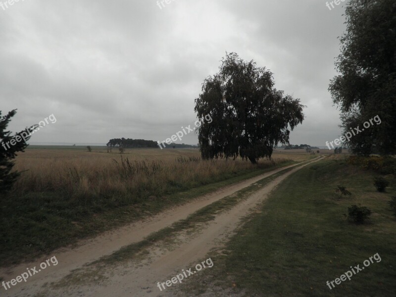 Nature Trail Cloudier Day Sand Road Lane Autumn