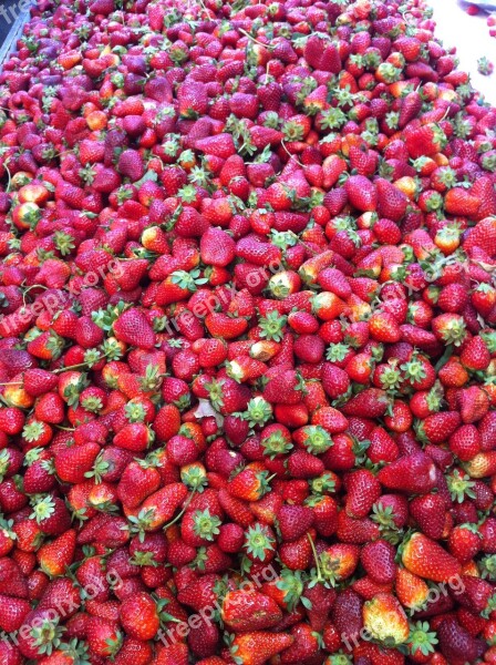 Strawberry Food Fresh Pile Of Strawberries Strawberries