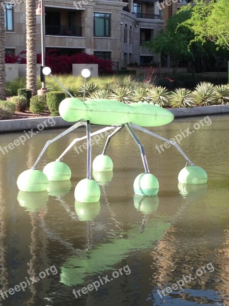 Water Bug Huge Water Bug Water Bug Art Modern Modern Art