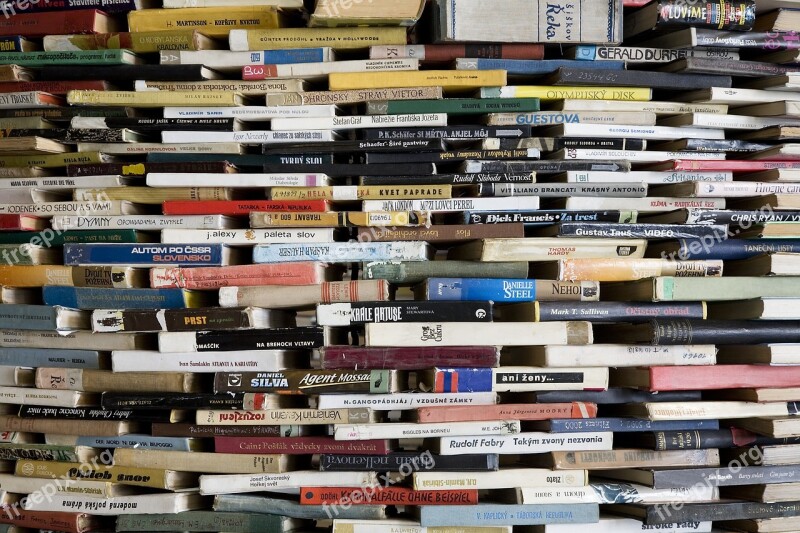 Library Books Montessori Shelf Shelf Of Books