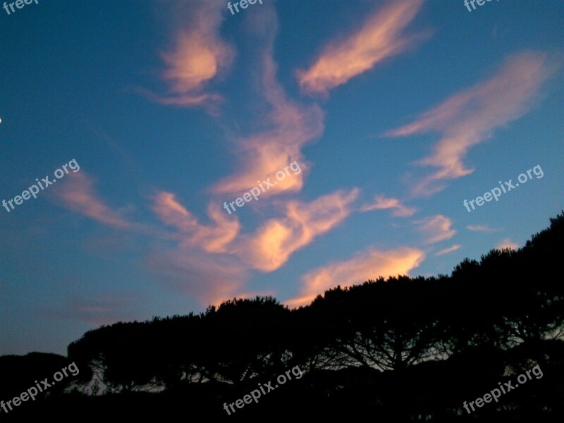 Cloud Sky Sunset Tree Dusk