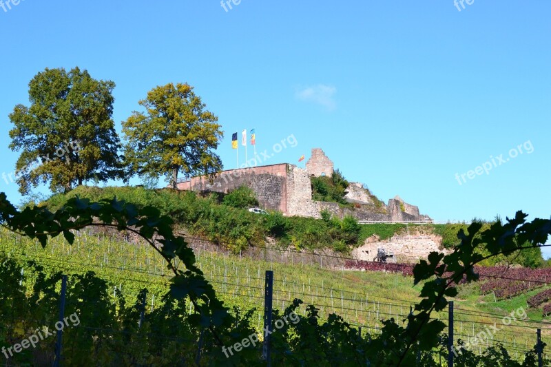 Stronghold Black Forest Sexau Castle Ruin