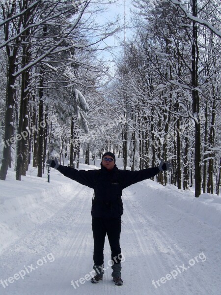 Slovakia Skalka Winter Snow Forest