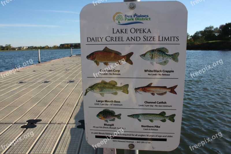 Lake Fishing Autumn Poster Dais