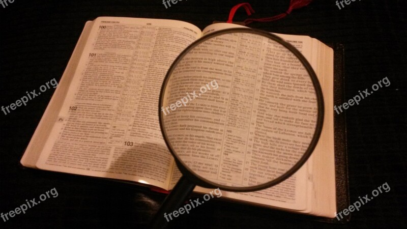 Magnifying Glass Magnified Magnifying Magnify Magnification