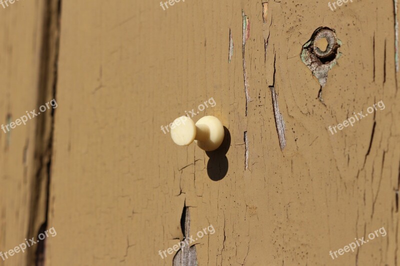 Wood Wall Nail Thumbtack Pin