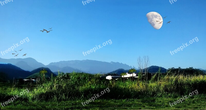 Moon Mountains Serra Birds Nature