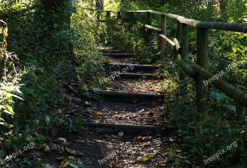 Hiking Away Level Stairs Light