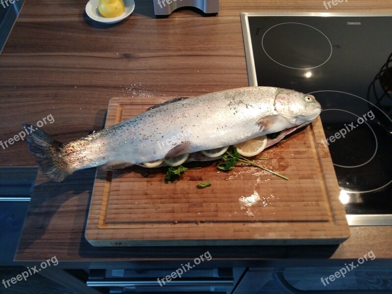 Cook Fish Salmon Trout Raw Eat