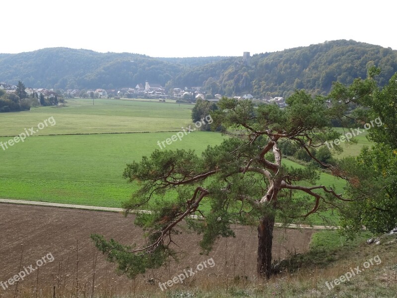 Lonely Autumn Landscape Tree Alone Mountains