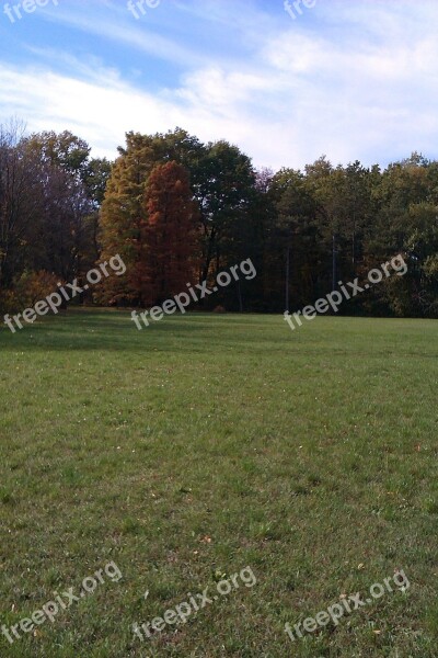 Glade Trees Forest Cloud Meadow