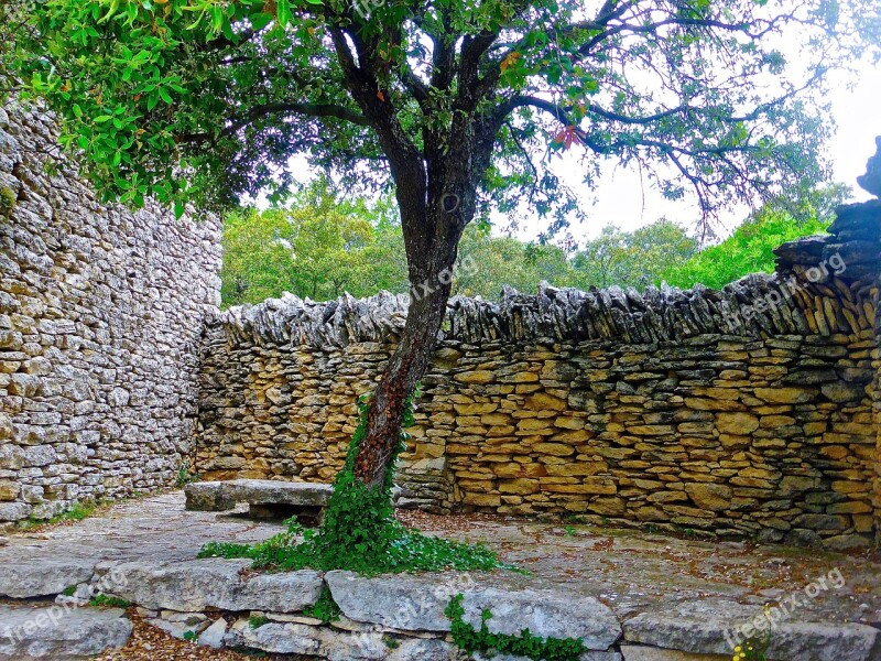 Courtyard Private Stone Wall Tree