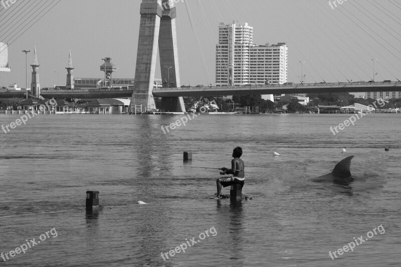 Shark Fishing River Fish Water