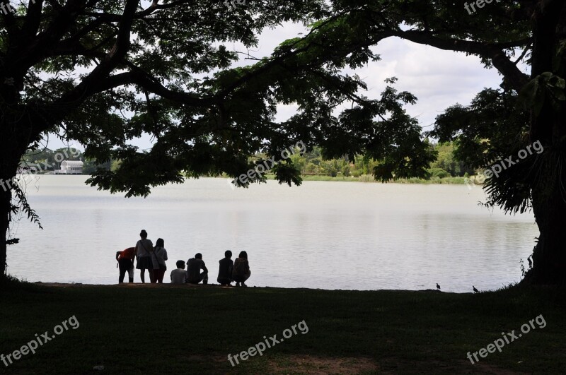 Nature Shadow Natural Landscape White