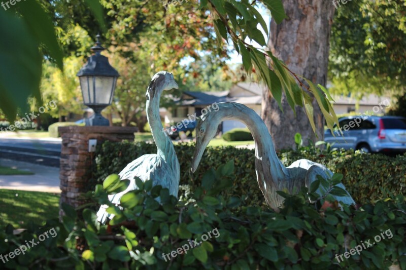 Lawn Ornaments Birds Lawn Grass Green