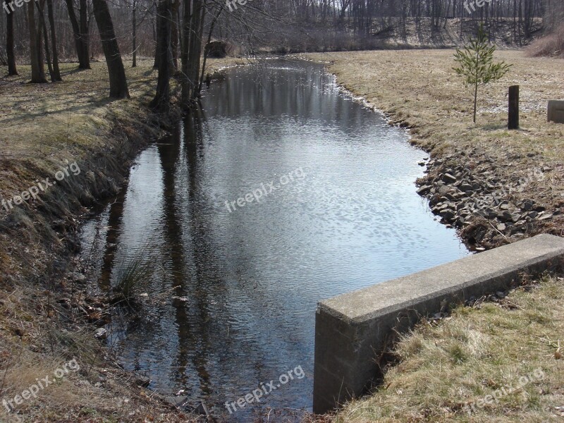 Park Green Landscape Nature Scenery