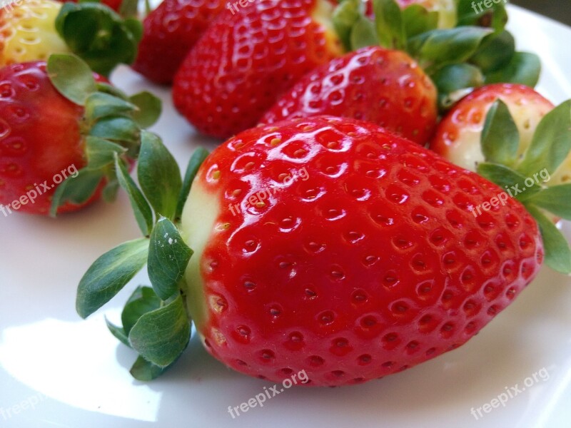 Strawberries Red Food Fresh Strawberries Orchard