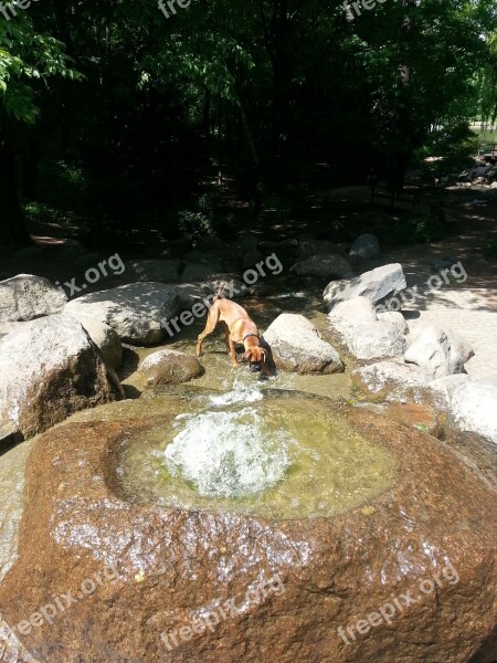 Boxer Fountain Water Park Walk