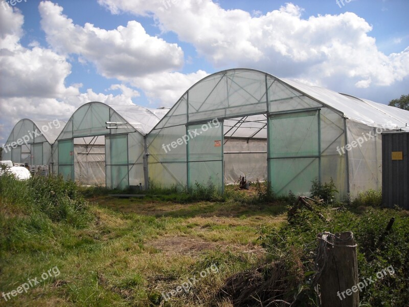 Agriculture Gardening Vegetables Garden Conservatory