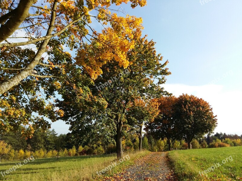 October Autumn Golden Golden Autumn Golden October