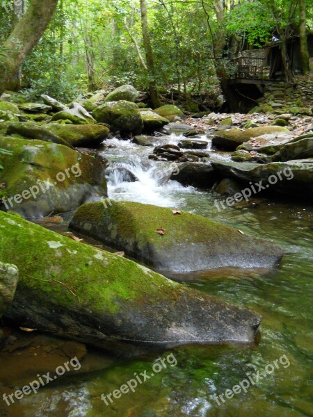 Water River Rocks Creek Flowing