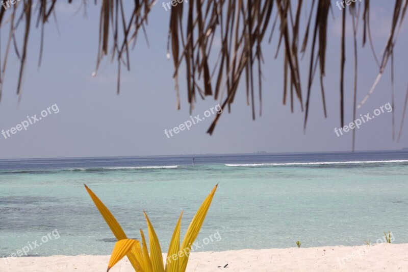 Sea Sand Beach Wind Summer