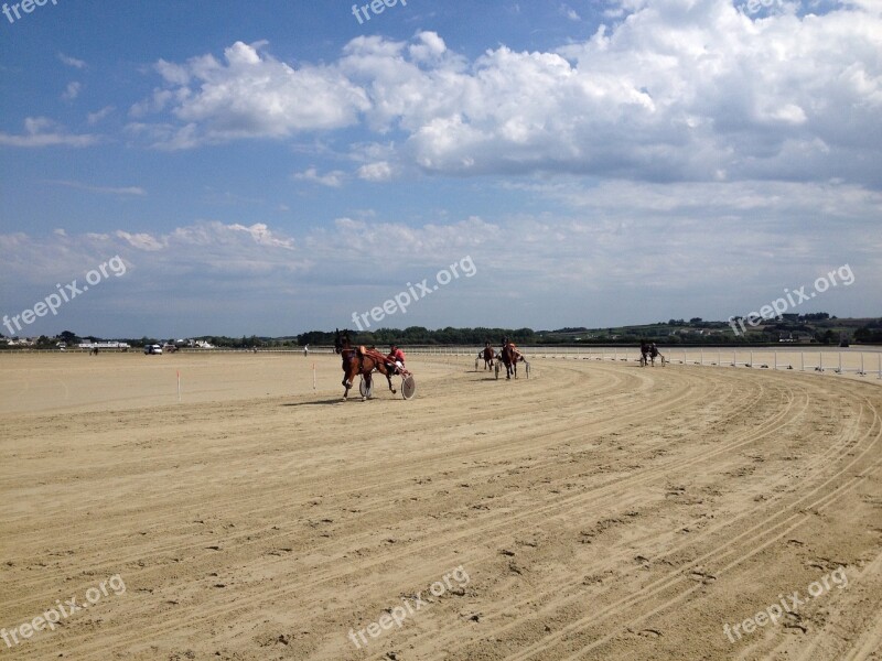 Kernic Cove Bay Horses Race Regional Local