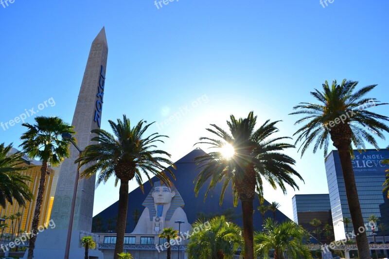 Hotel Luxor Casino Palm Trees City