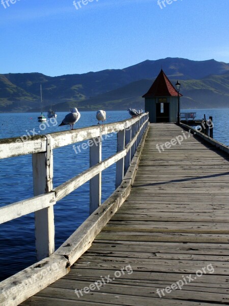 Sea Pier Bridge House Birds