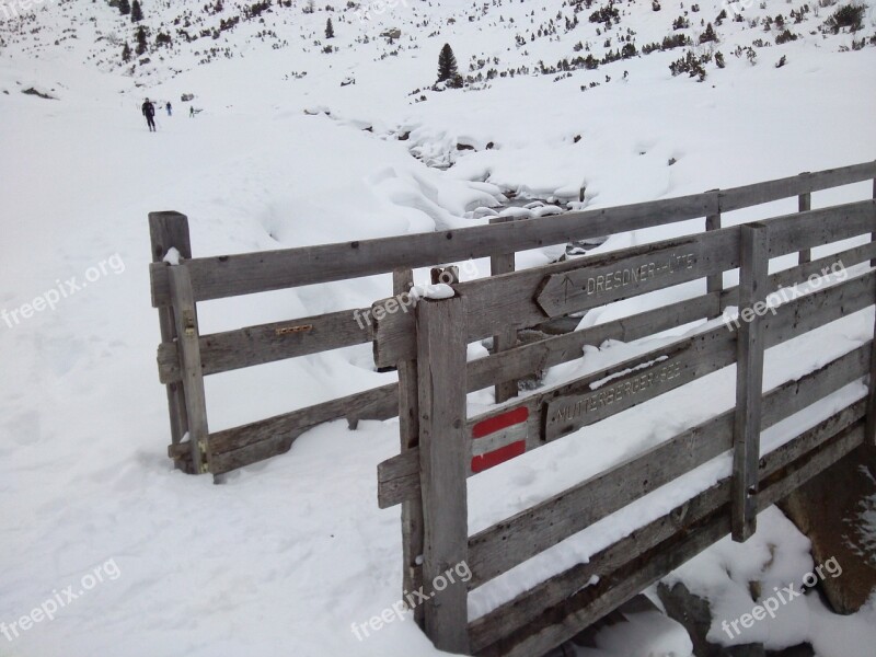 Snow Winter Wintry Winter Shrubs White