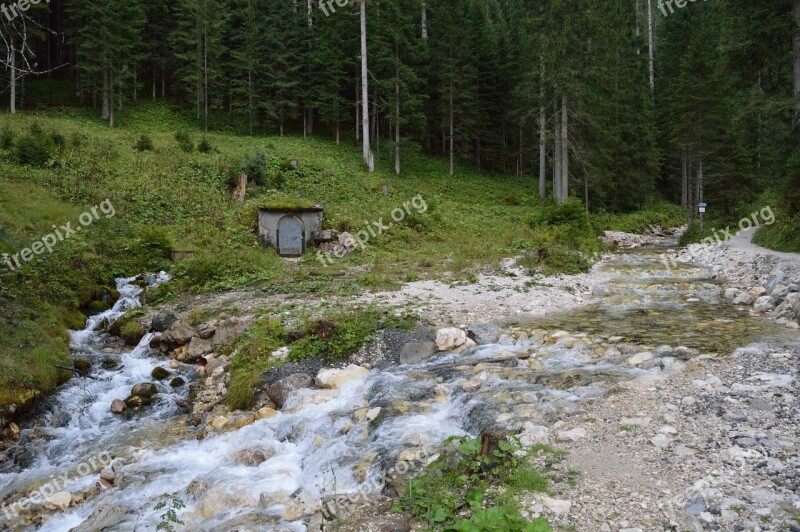 Water Forest Stream Supply Water Stream