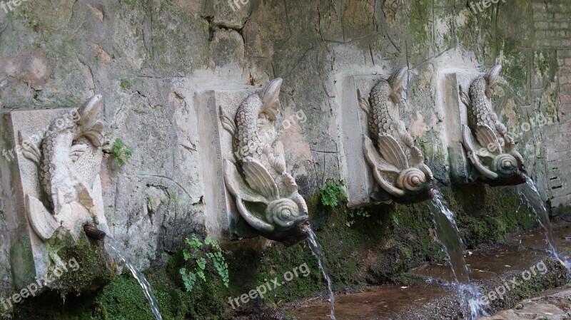 Water Nature River Stone Monastery Source Salmon