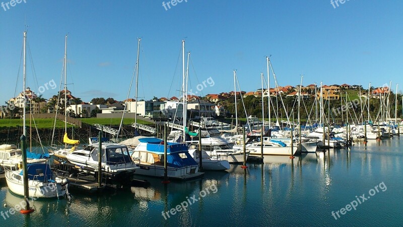 New Zealand Oyster Petit Harbour North Island Free Photos