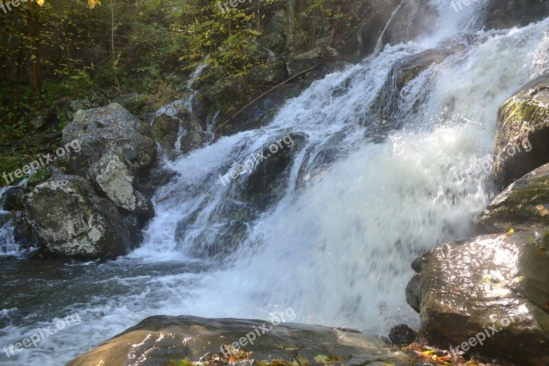 Waterfall Forest Nature Water Stream Stones