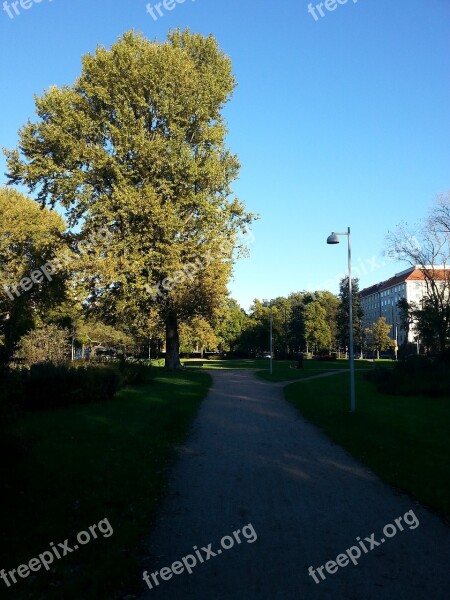 Helsinki Finnish Tree Nature Landscape