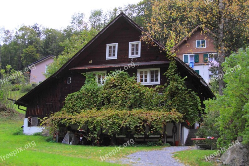 Chalet Mountain Hut Home Switzerland Ivy