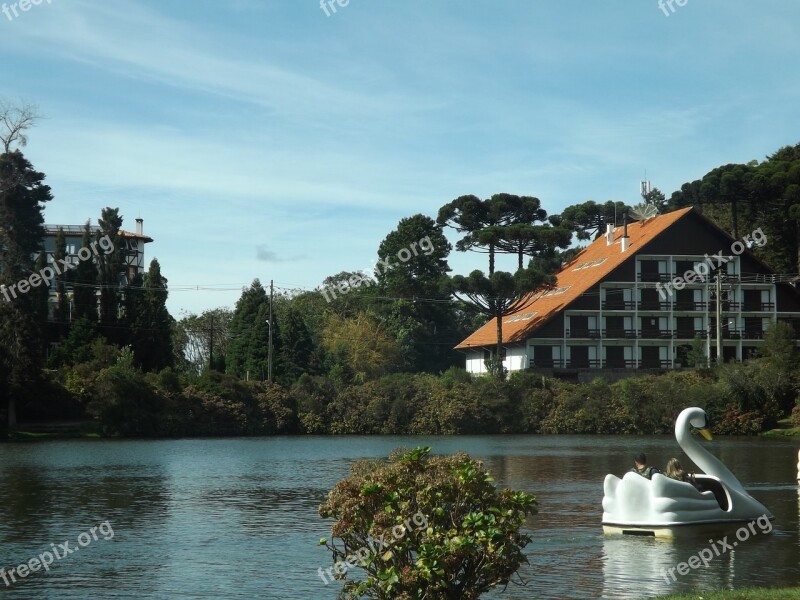 Duck Paddle Boat Lawn Rio Grande Do Sul Brazil