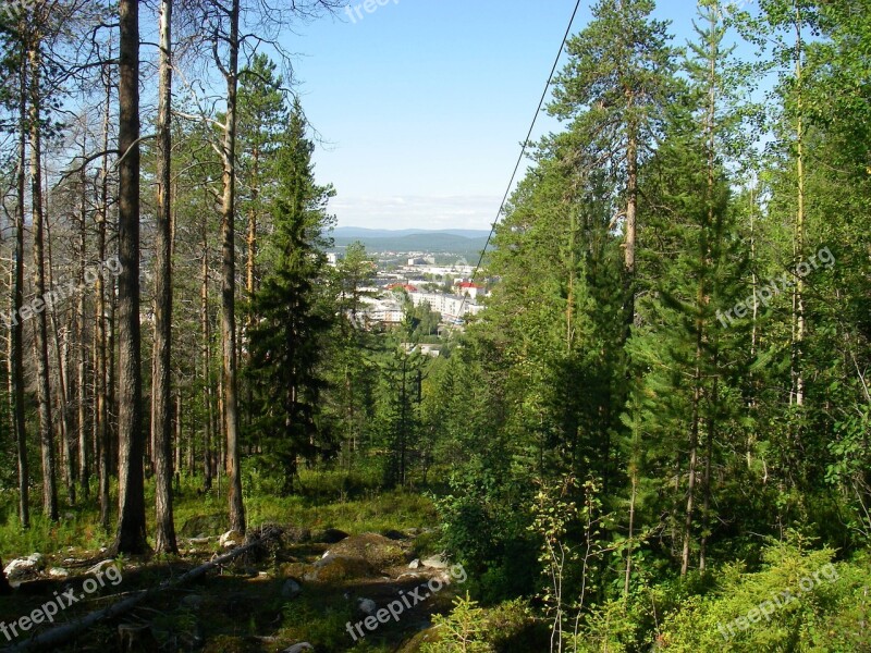 Forest Mountain Nature Landscape Rocks