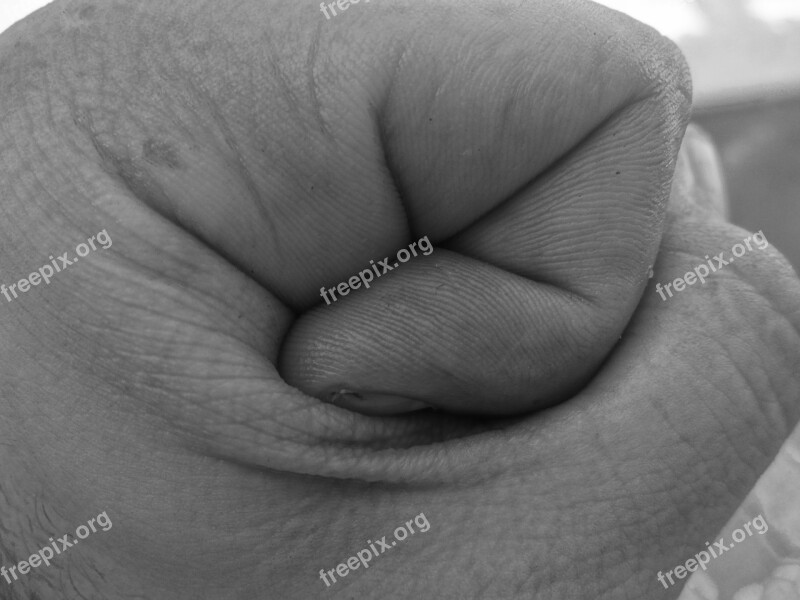 Hand Human Black White Taken Features