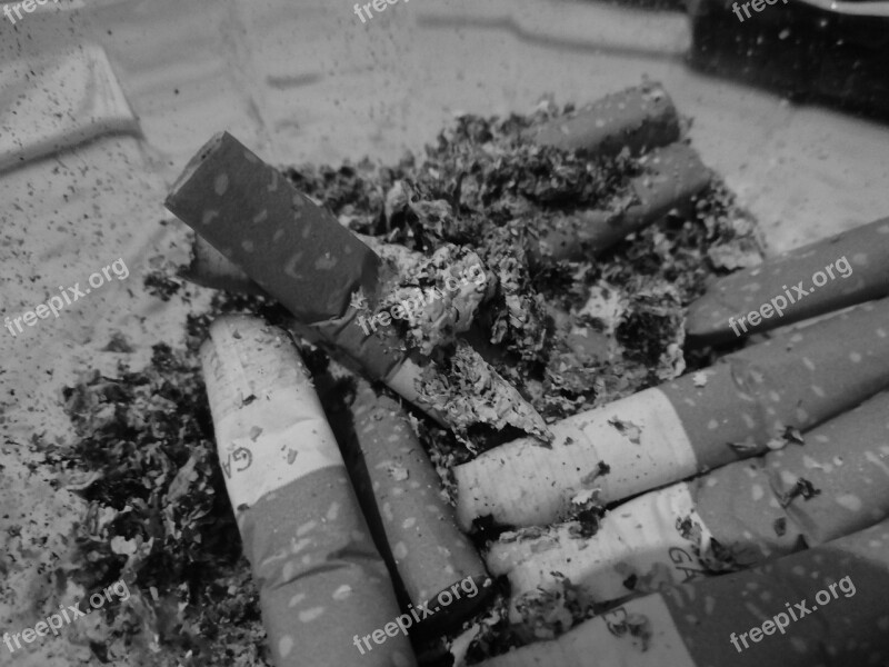 Black And White Cigarette Ash Smoker Free Photos