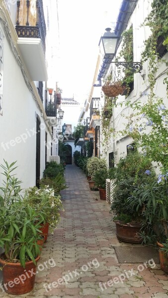 Street Pots Andalusia People Perspectives